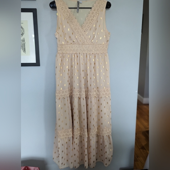 Charlie Charlie Charlotte Apricot Lace Sleeveless Empire Waist Maxi Dress - Picture 3 of 13